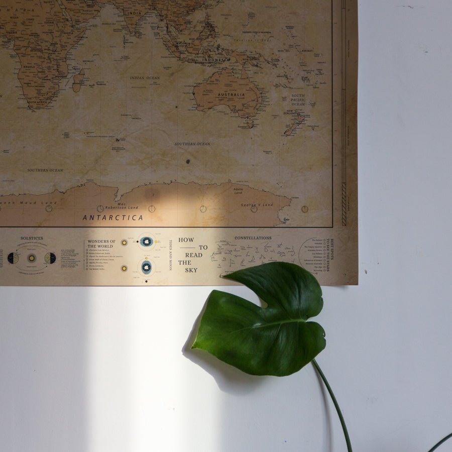 Lámina Mapamundi - Woody Map Poster - Misswood