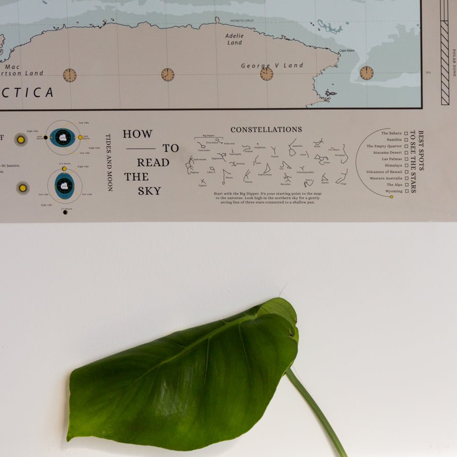 Lámina Mapamundi - Woody Map Poster - Misswood